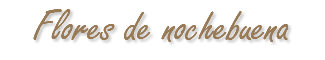 Flores de nochebuena